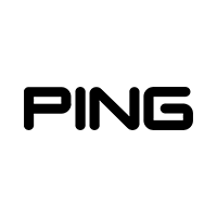 Logotyp - Ping