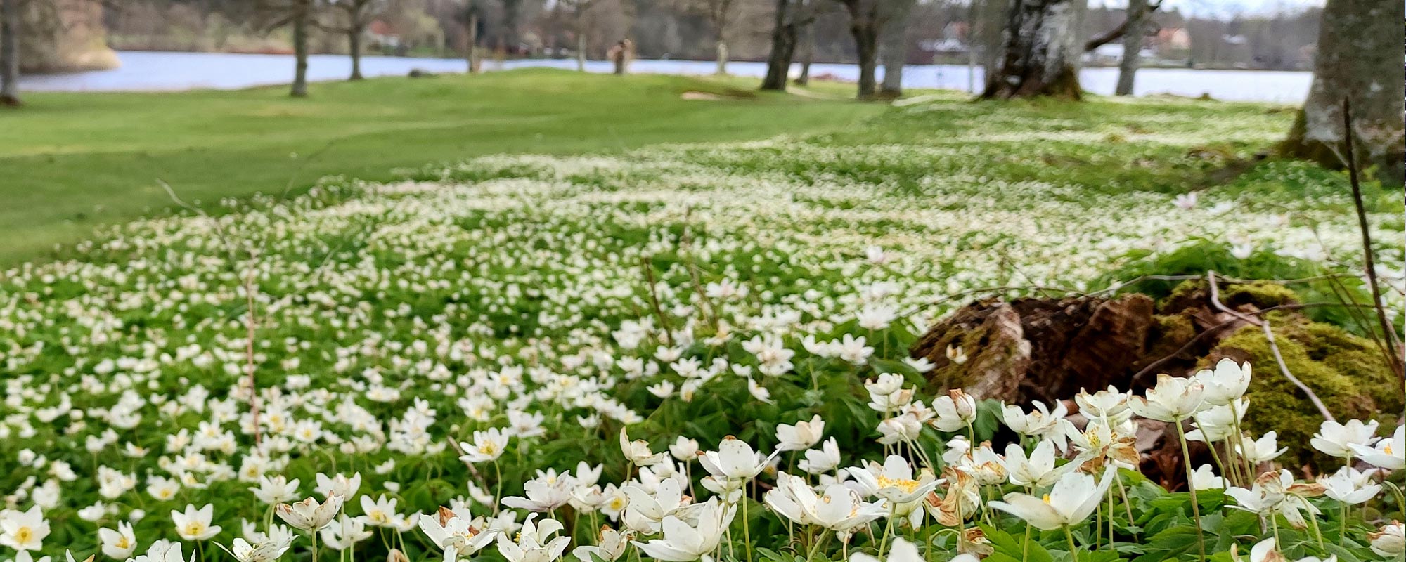 H llbarhet Emmaboda GK