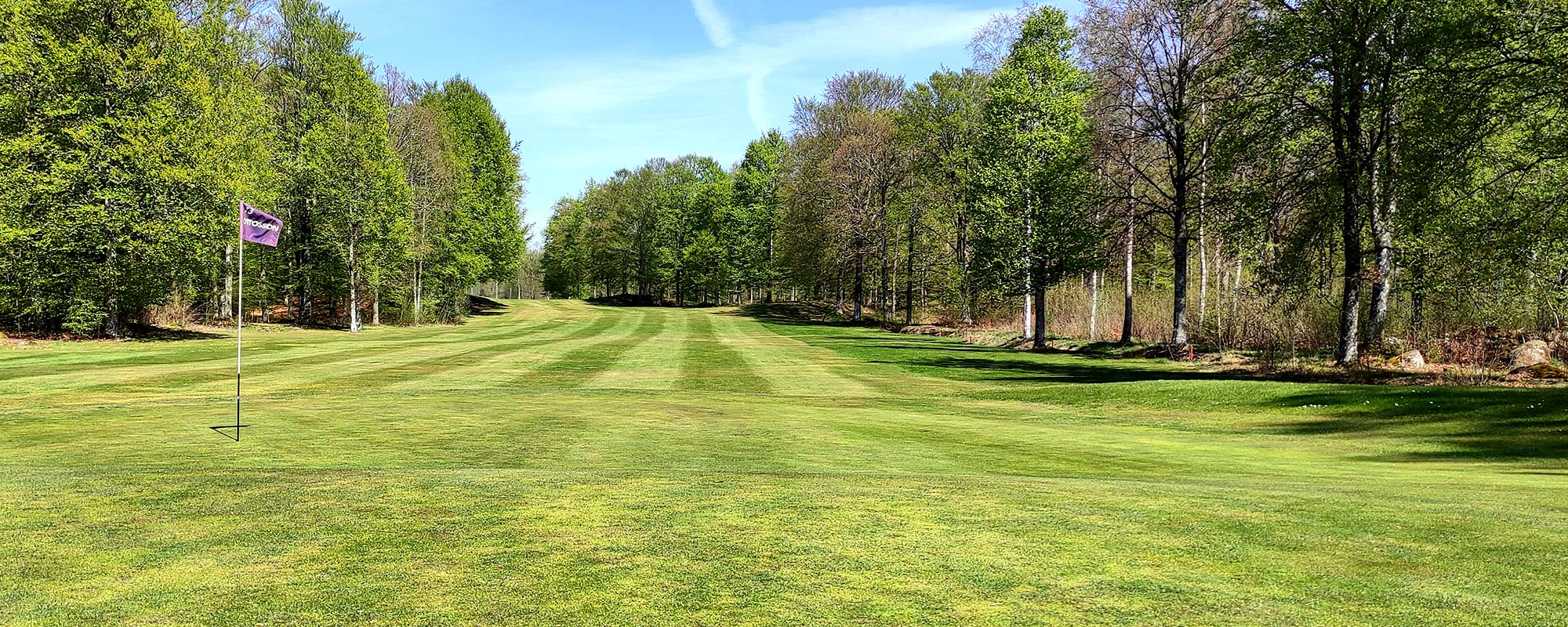 Lokala Regler Emmaboda GK